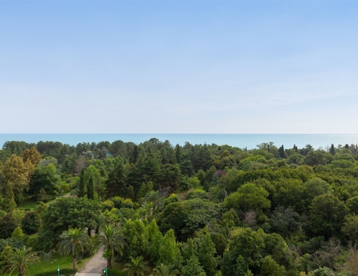 Трехкомнатная «Люкс студия» - Санаторий «Самшитовая роща»